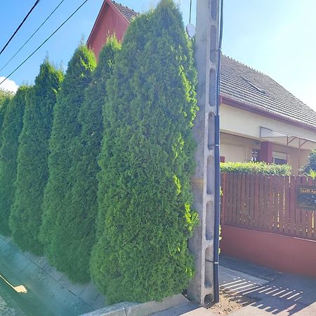 Szaffi Apartman ハイデゥソボスロー エクステリア 写真